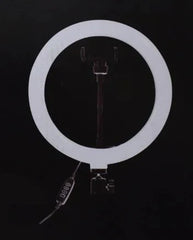 Ring Fill Light